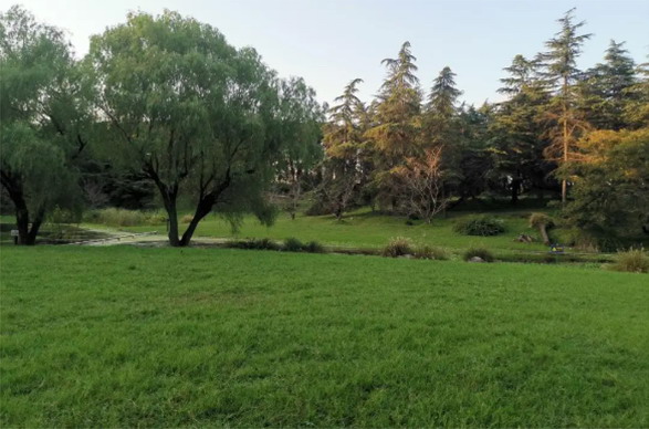 image39.JPG